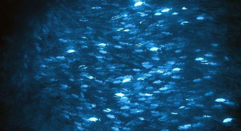 未来学院 - Image 5